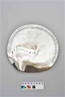 藏品(珍母貝腰飾)的圖片